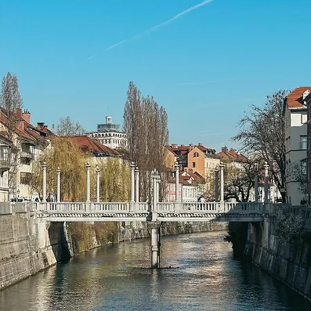 Pirc On Dunajska Street