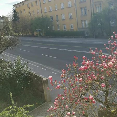 Apartment Pirc On Dunajska Street