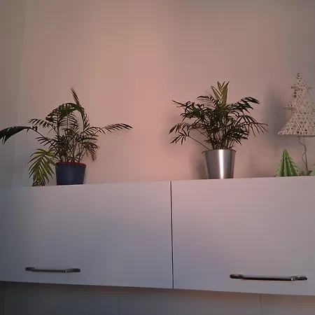 Pirc On Dunajska Street