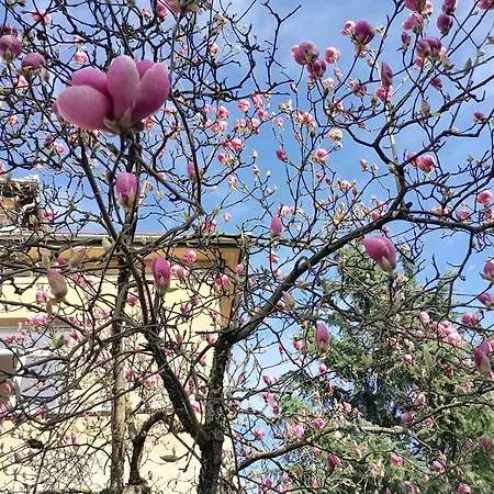 Pirc On Dunajska Street * Ljubljana