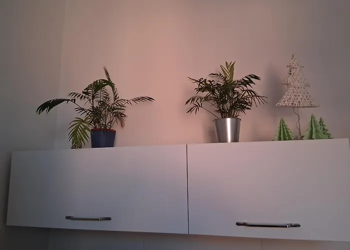 Pirc On Dunajska Street