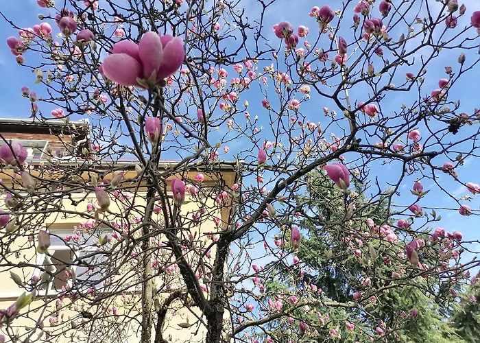 Pirc On Dunajska Street * Liubliana